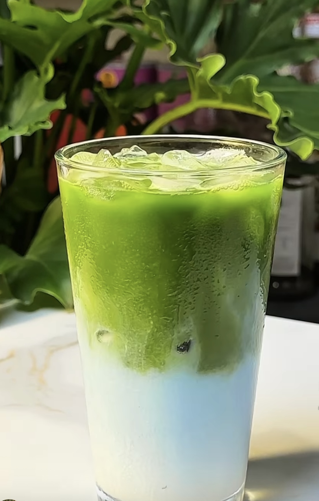 Blue Pea Flower Matcha - Matcha Hoa Đậu Biếc