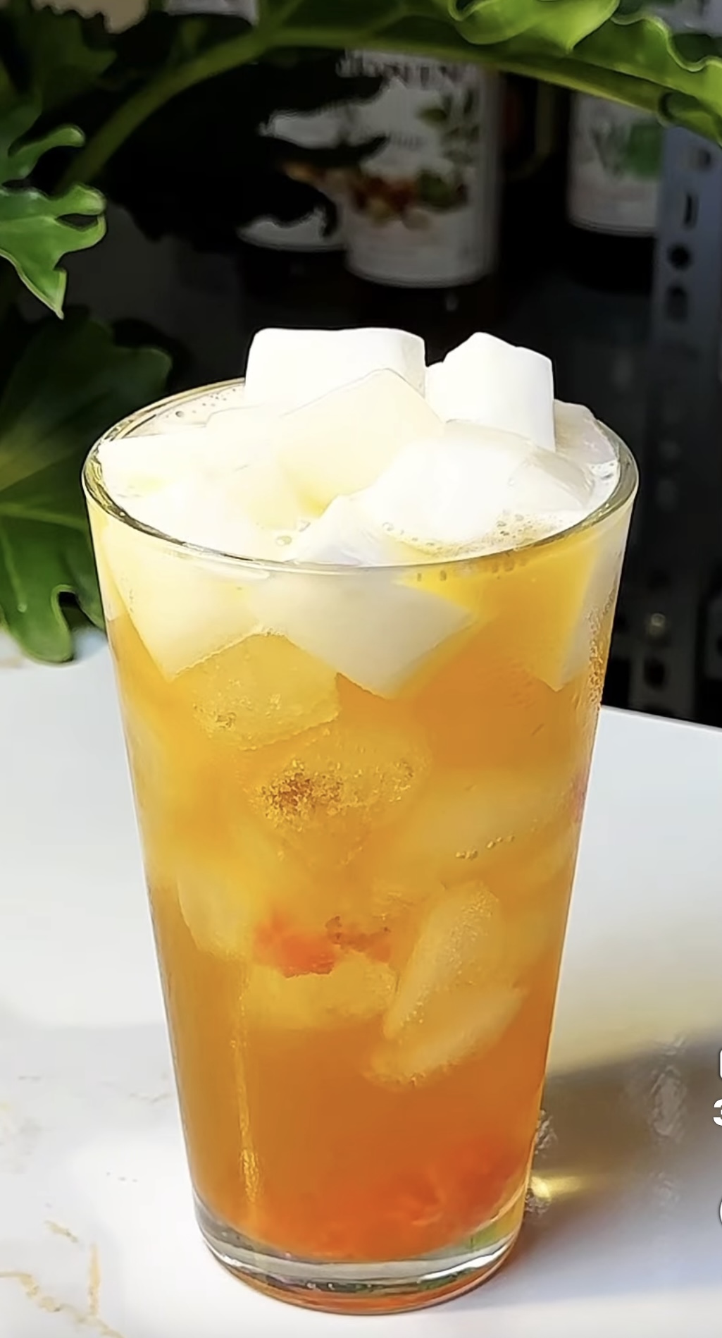 Lychee Tea - Trà Thạch Vải